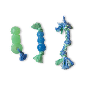 ערכה דנטלית לכלב 3 ב1 1 יחידה