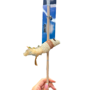 צעצוע חכה לחתול